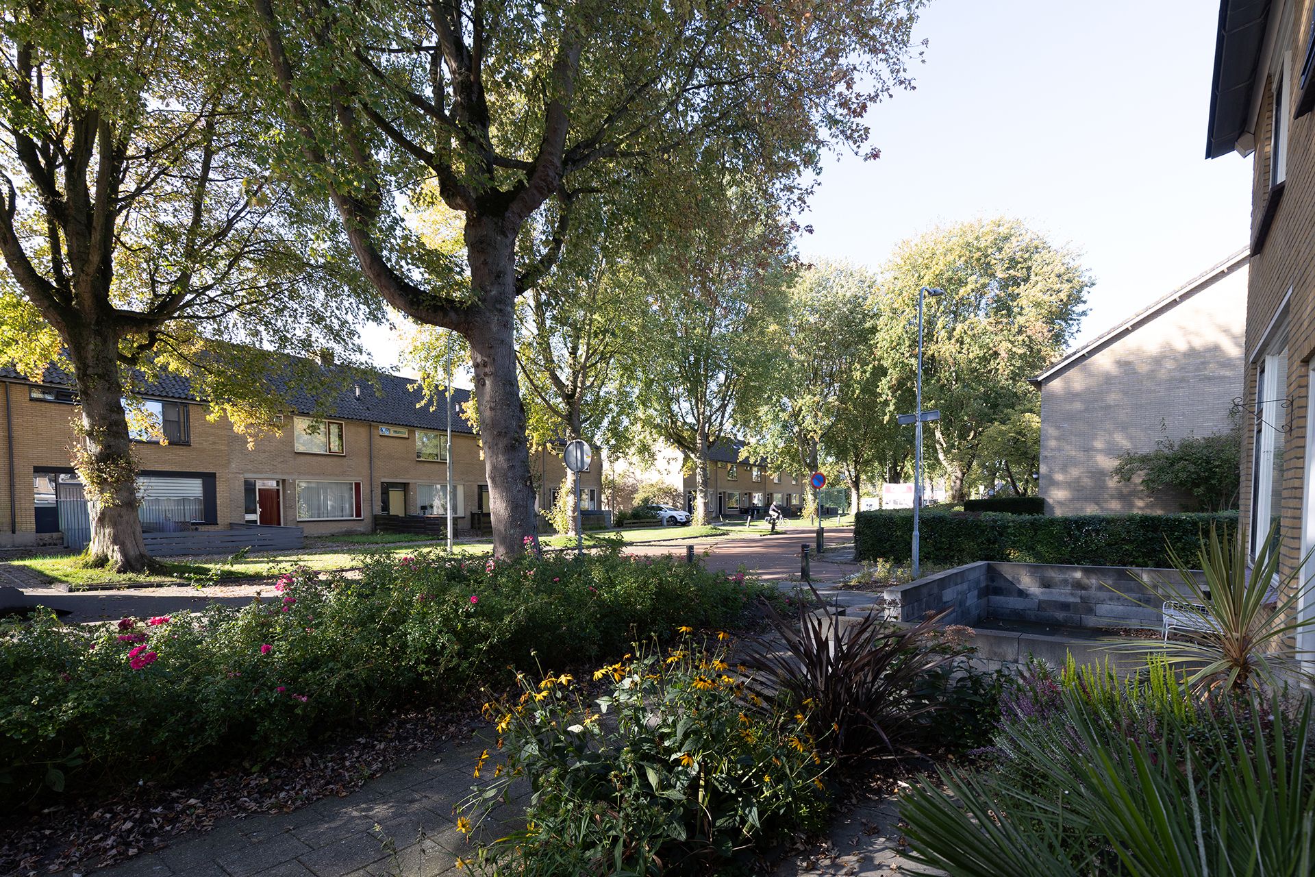 Foto 60 van Zwaluwweg 64