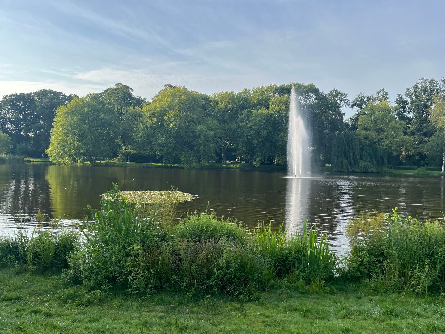 Foto 59 van Dr. E.J. Roelfsemalaan 2