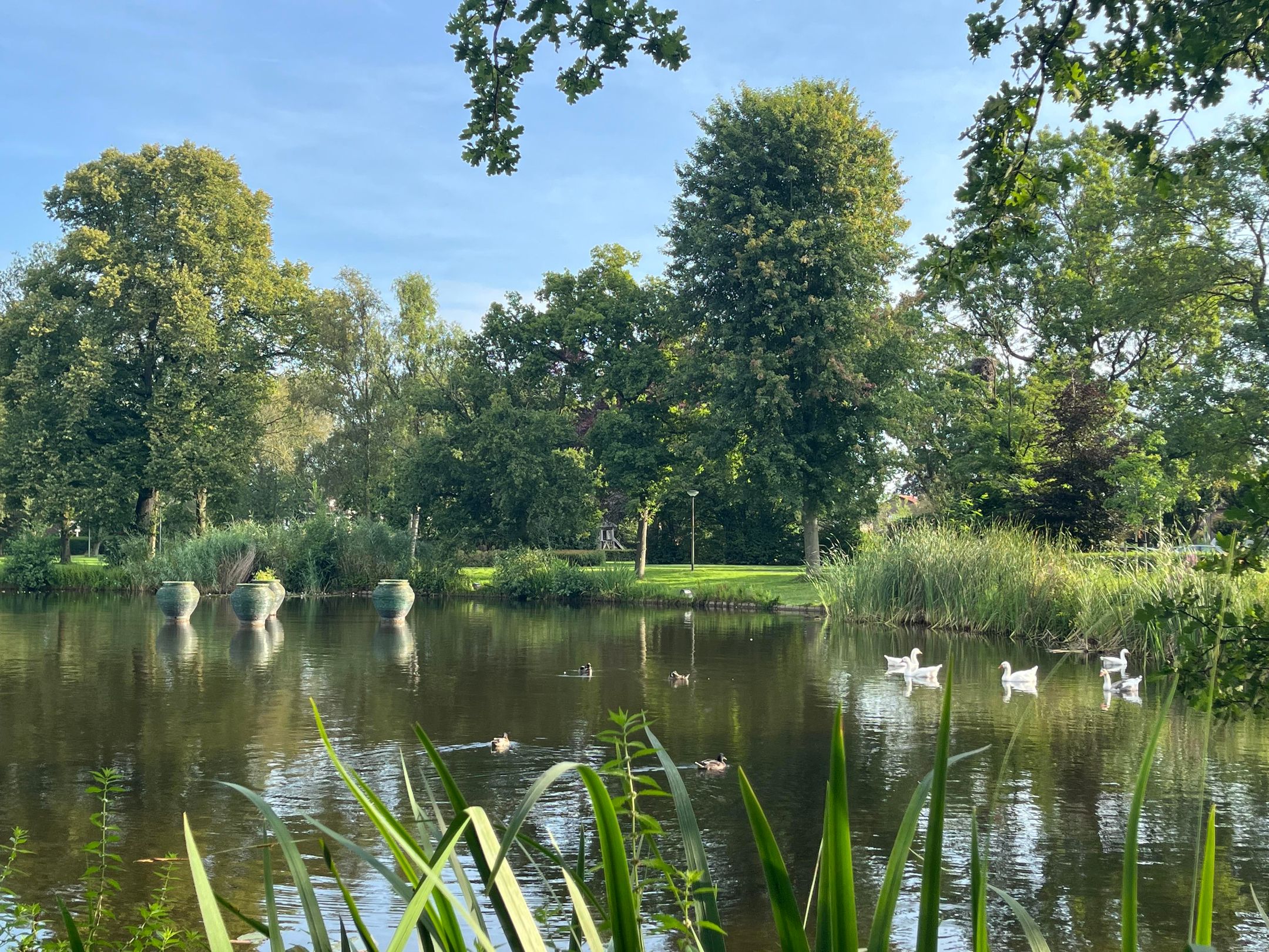 Foto 60 van Dr. E.J. Roelfsemalaan 2