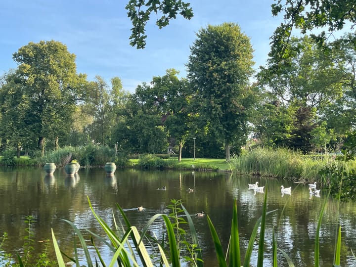 Foto 60 van Dr. E.J. Roelfsemalaan 2