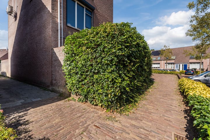 Foto 20 van Bereklauw 54