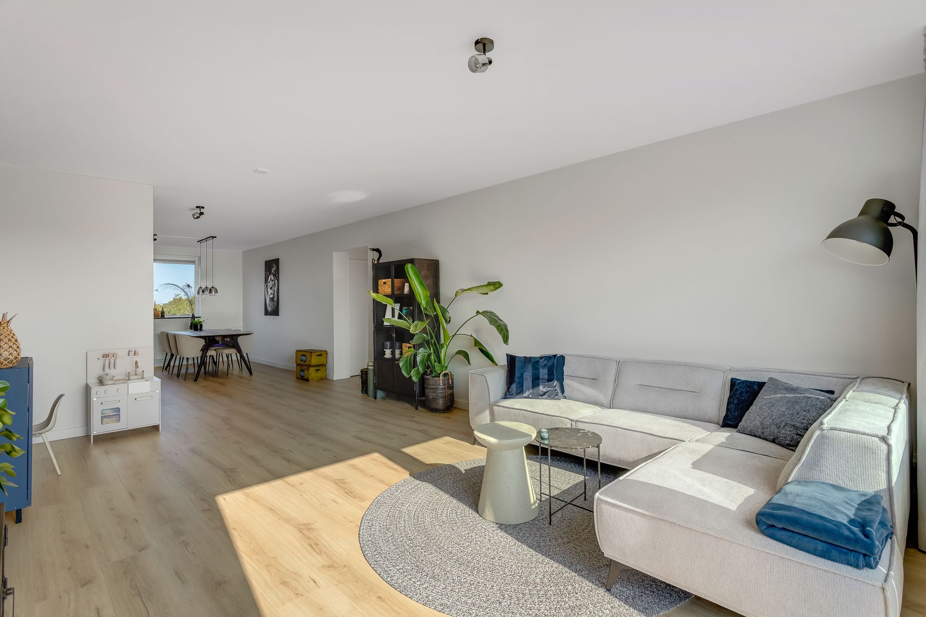 Foto 6 van Rijnauwenstraat 242