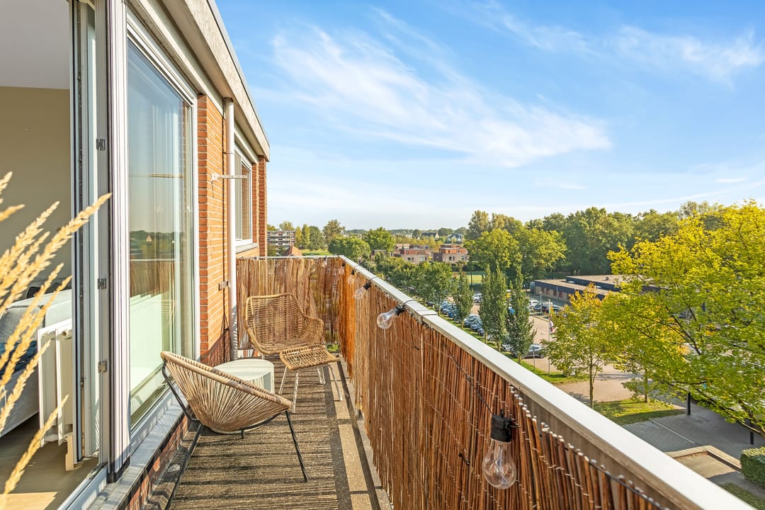 Foto 16 van Rijnauwenstraat 242