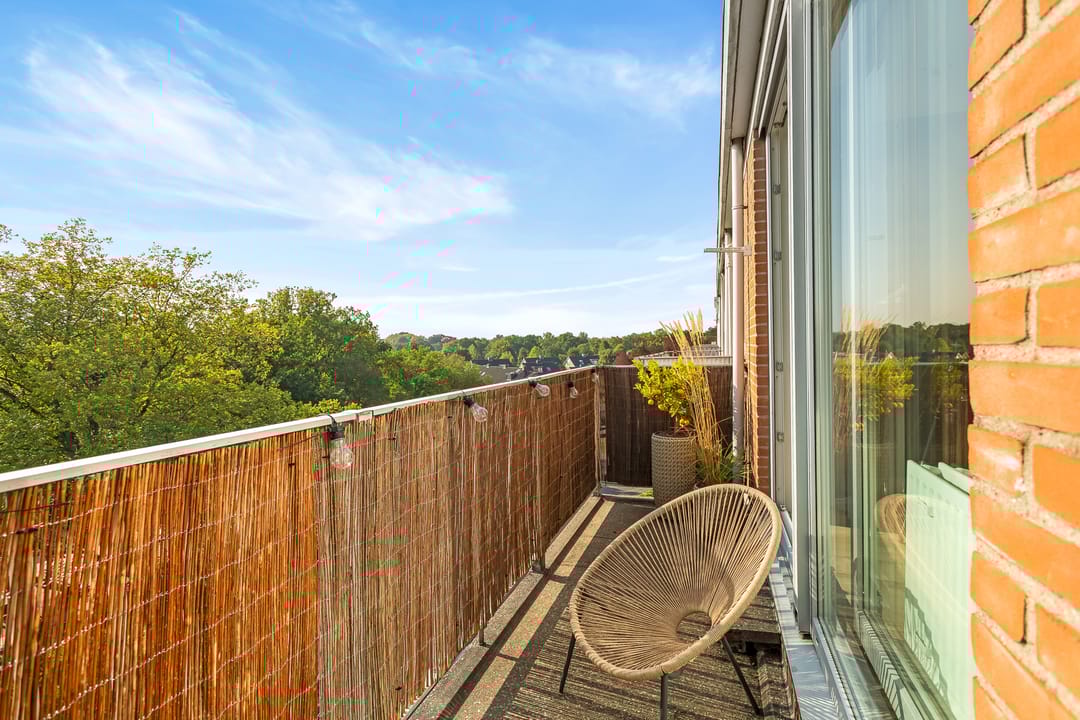 Foto 17 van Rijnauwenstraat 242