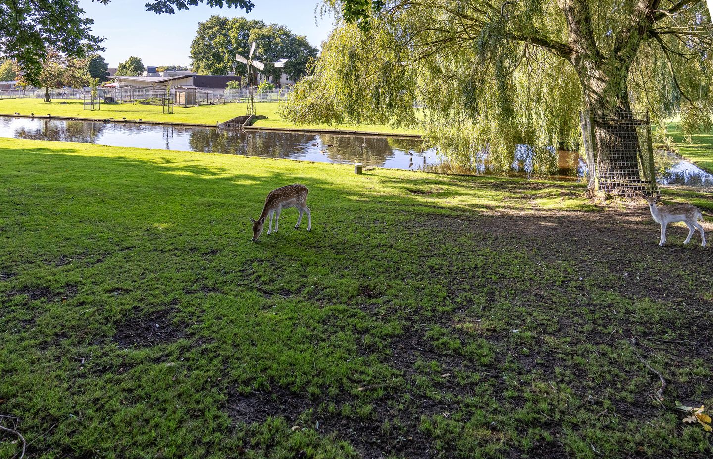 Foto 70 van Hoofdweg 27