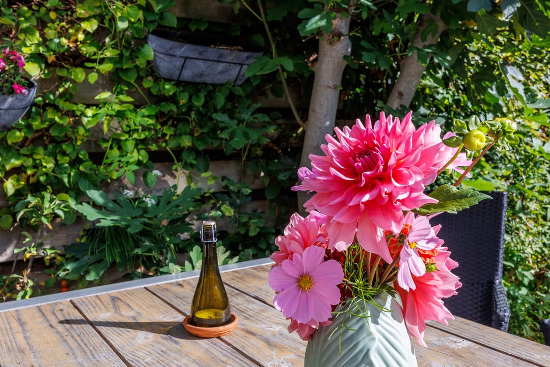 Foto 23 van Appelgaarde 12