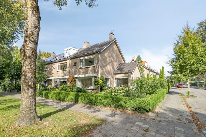 Foto 1 van Laan 1954 16