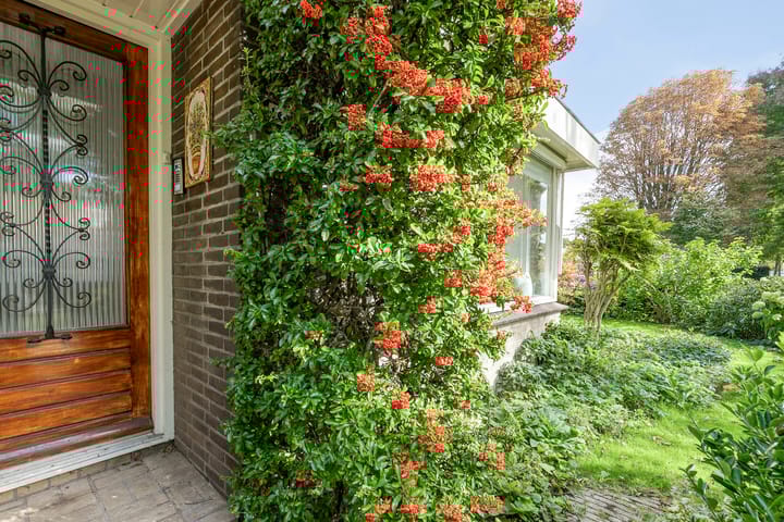 Foto 2 van Laan 1954 16