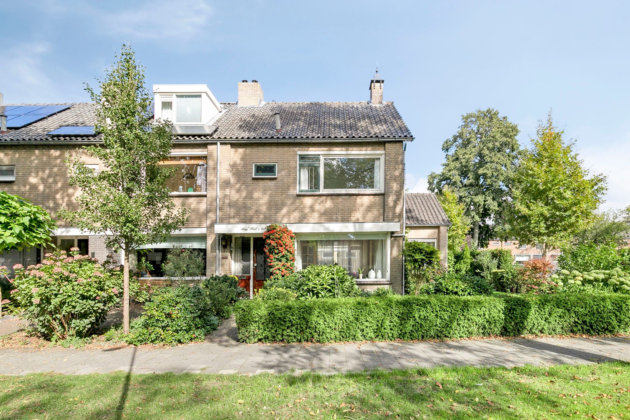 Foto 3 van Laan 1954 16