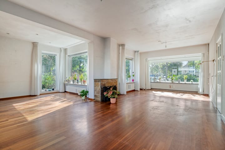 Foto 6 van Laan 1954 16