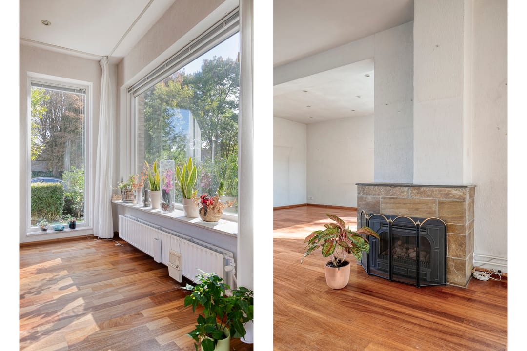 Foto 7 van Laan 1954 16