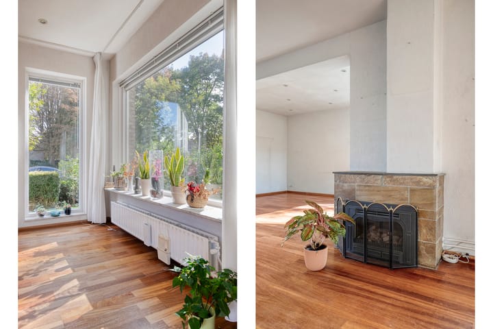 Foto 7 van Laan 1954 16