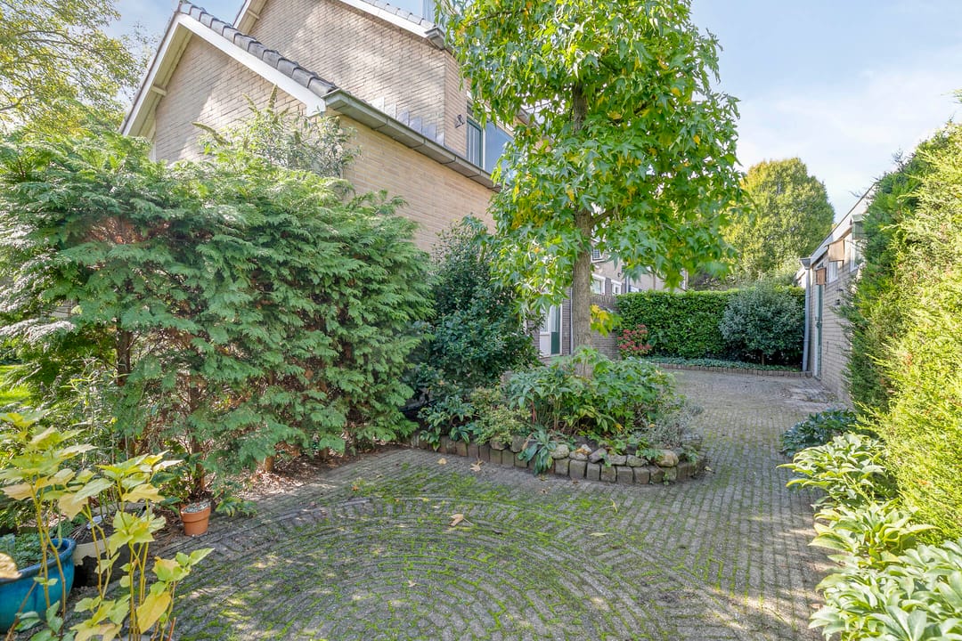 Foto 11 van Laan 1954 16