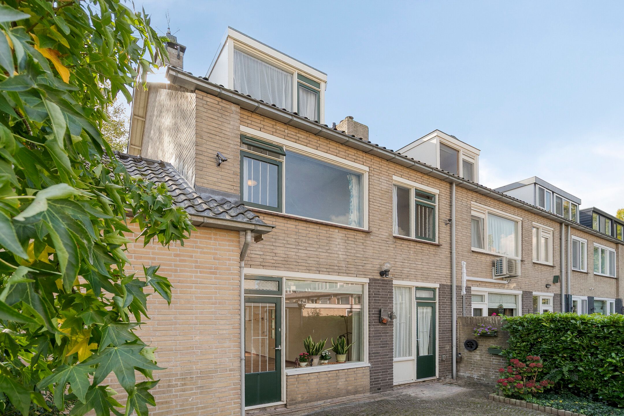 Foto 12 van Laan 1954 16