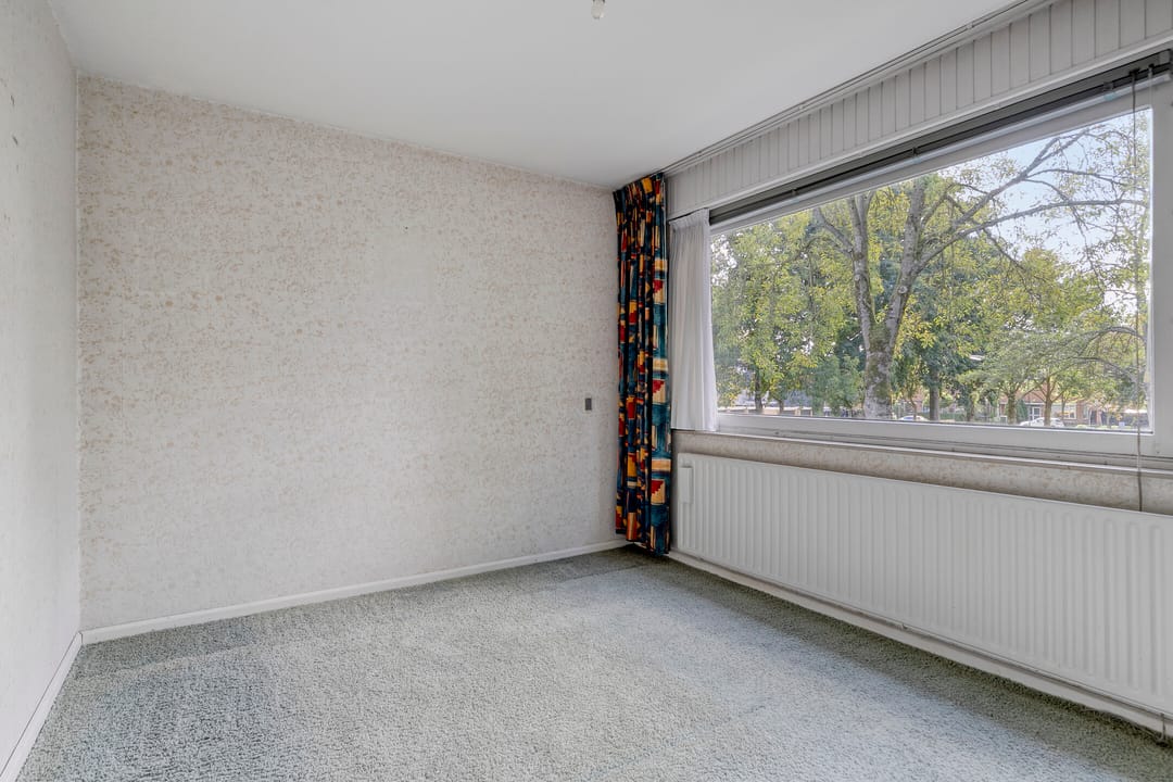 Foto 17 van Laan 1954 16