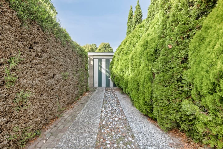 Foto 26 van Laan 1954 16