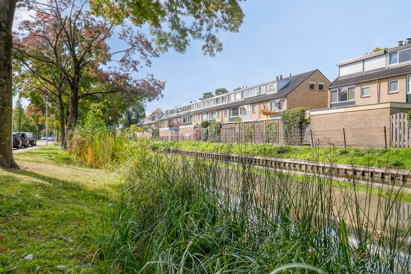 Foto 29 van Laan 1954 16