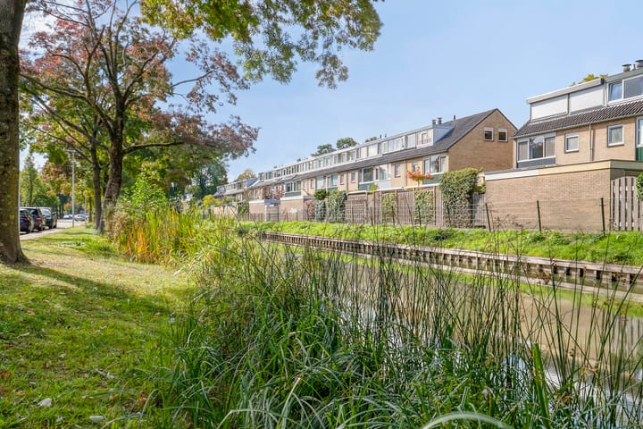 Foto 29 van Laan 1954 16