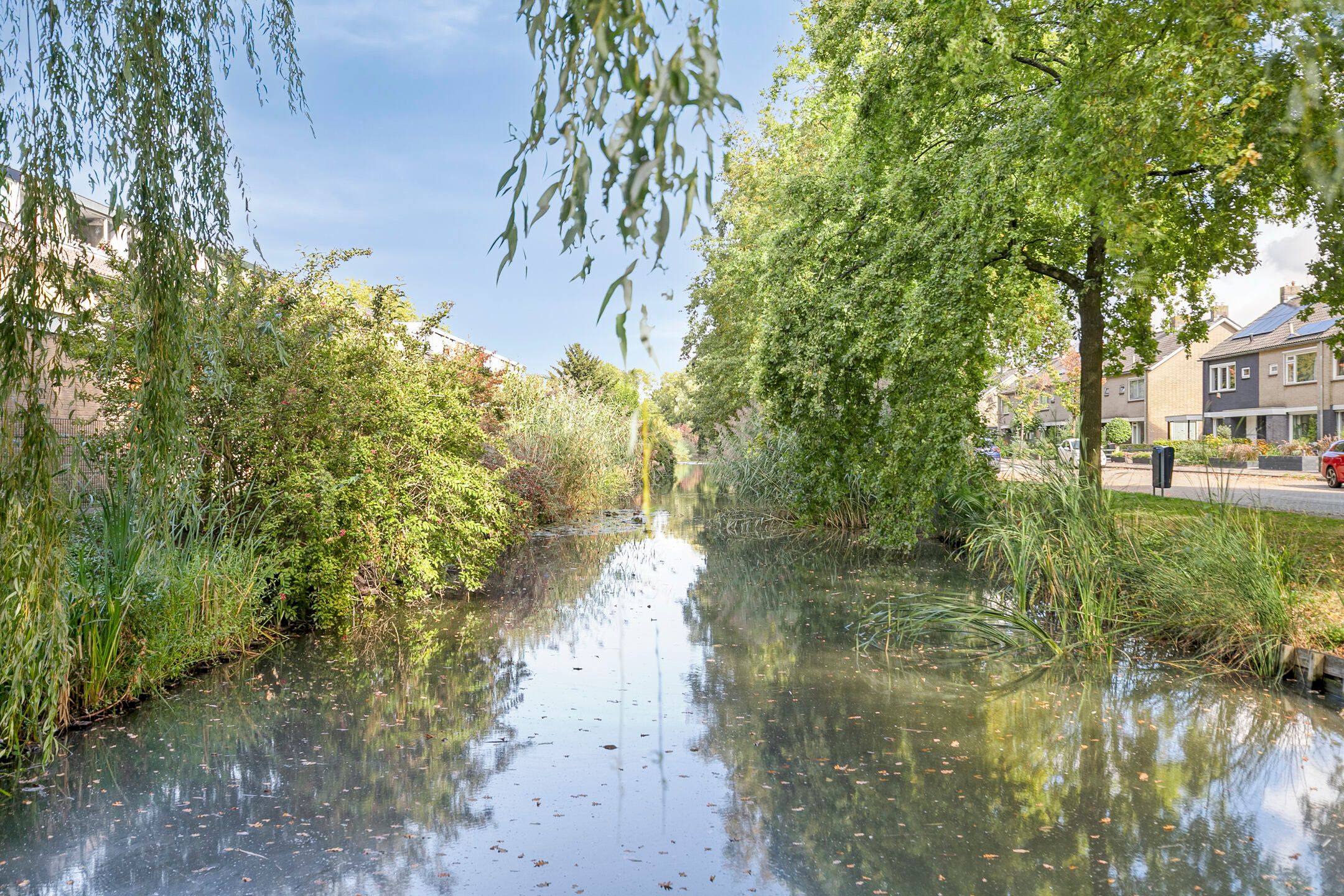 Foto 30 van Laan 1954 16