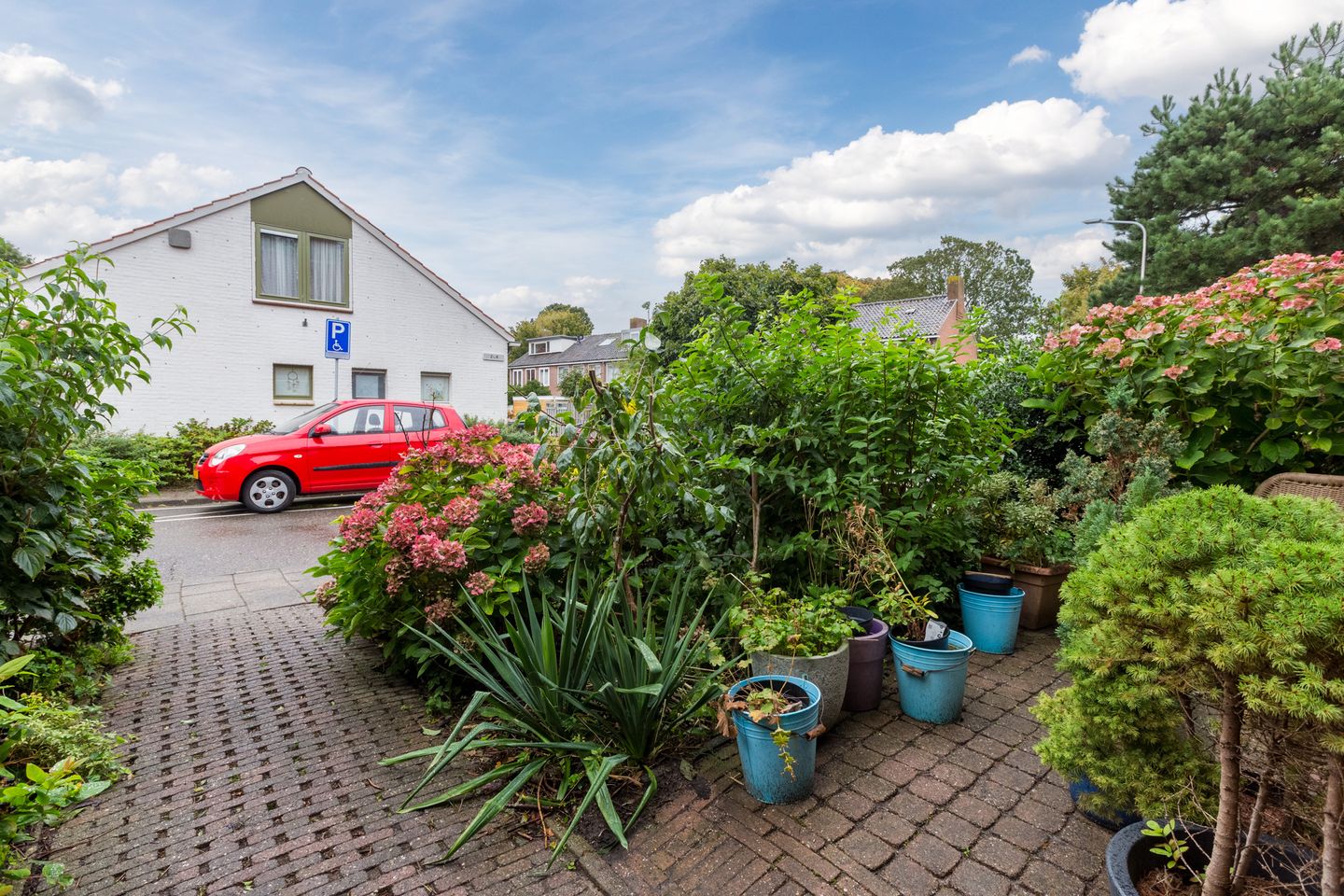 Foto 5 van Treublaan 9