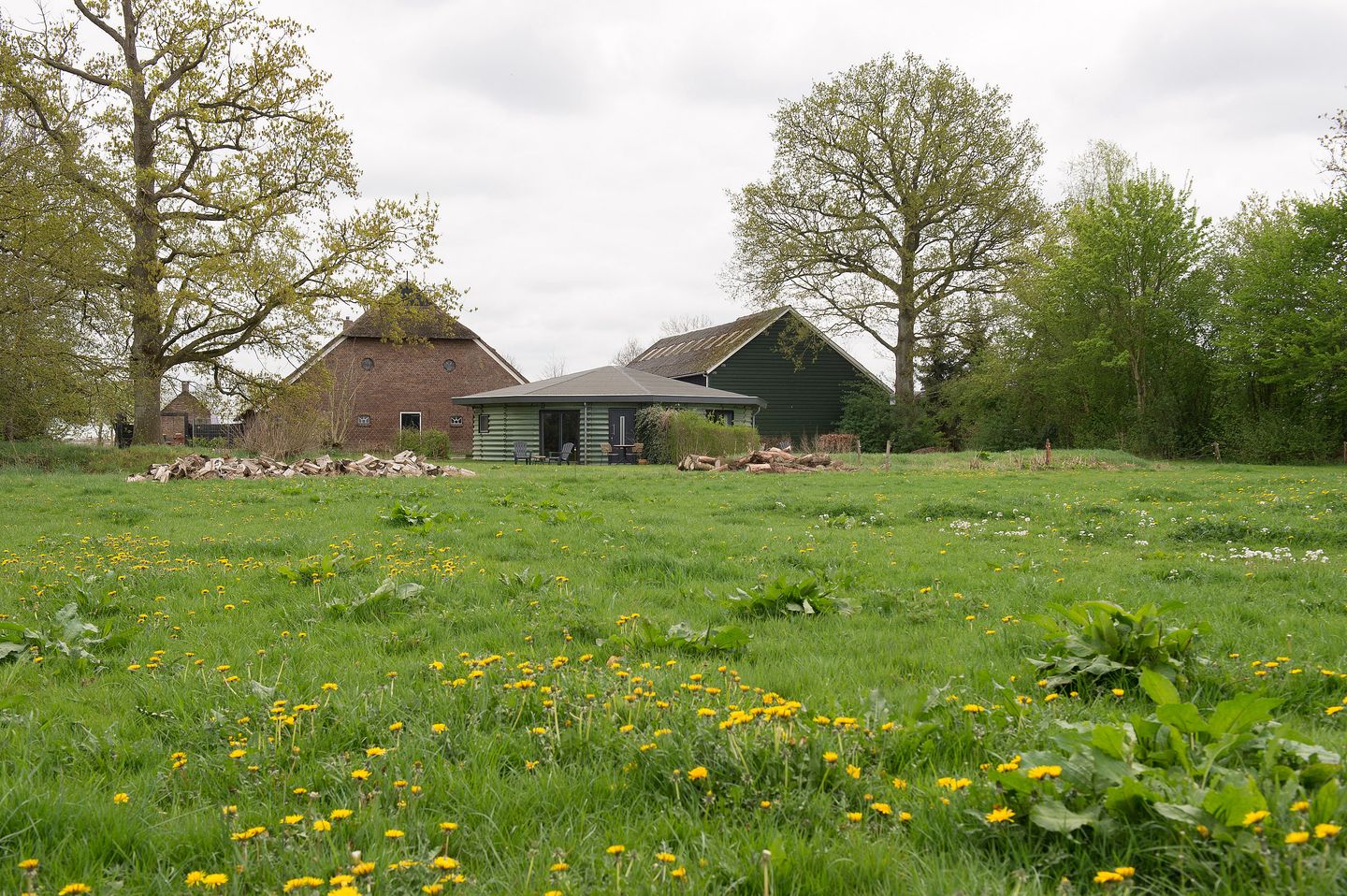 Foto 55 van Dokter Larijweg 161