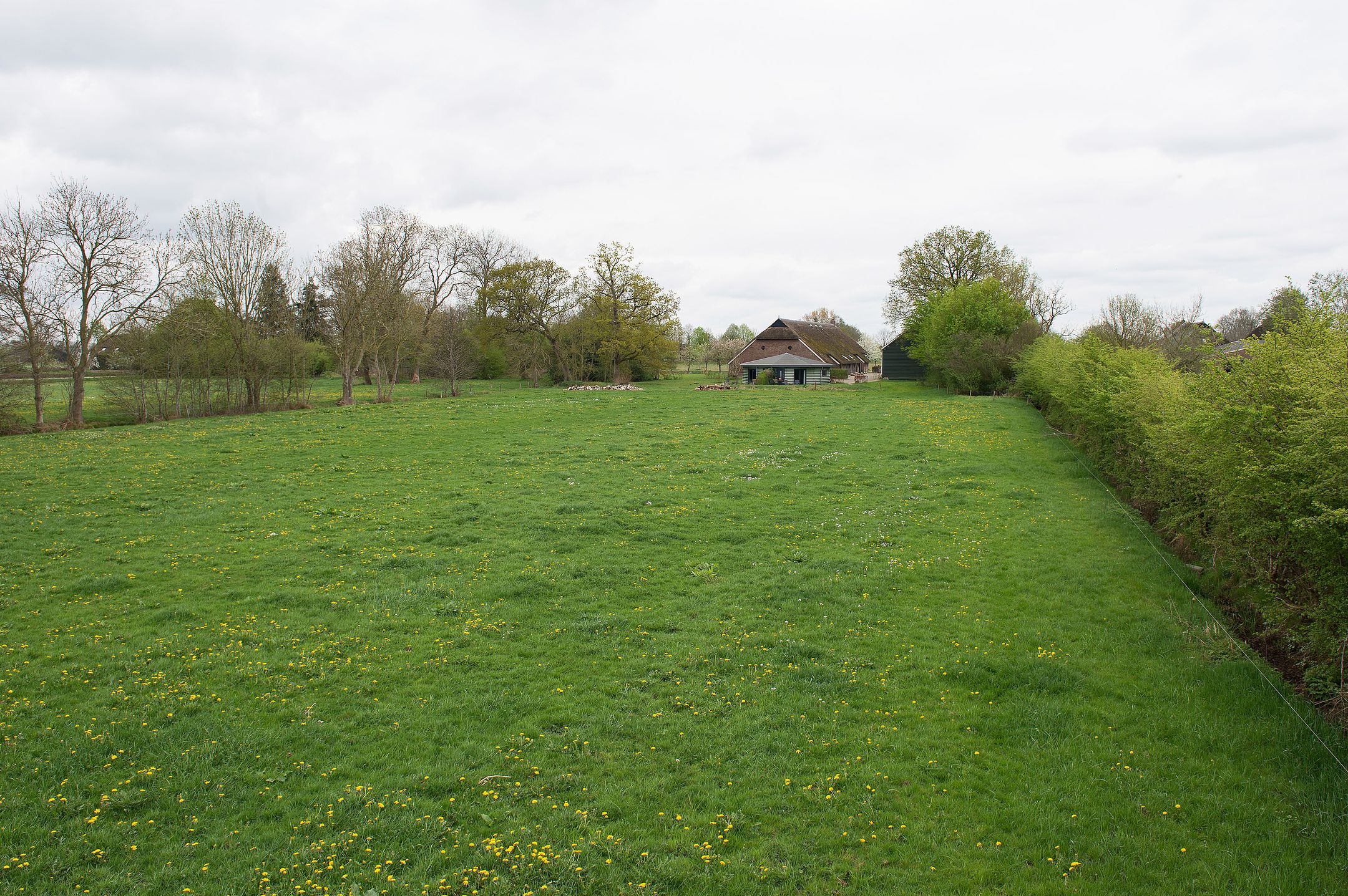 Foto 57 van Dokter Larijweg 161