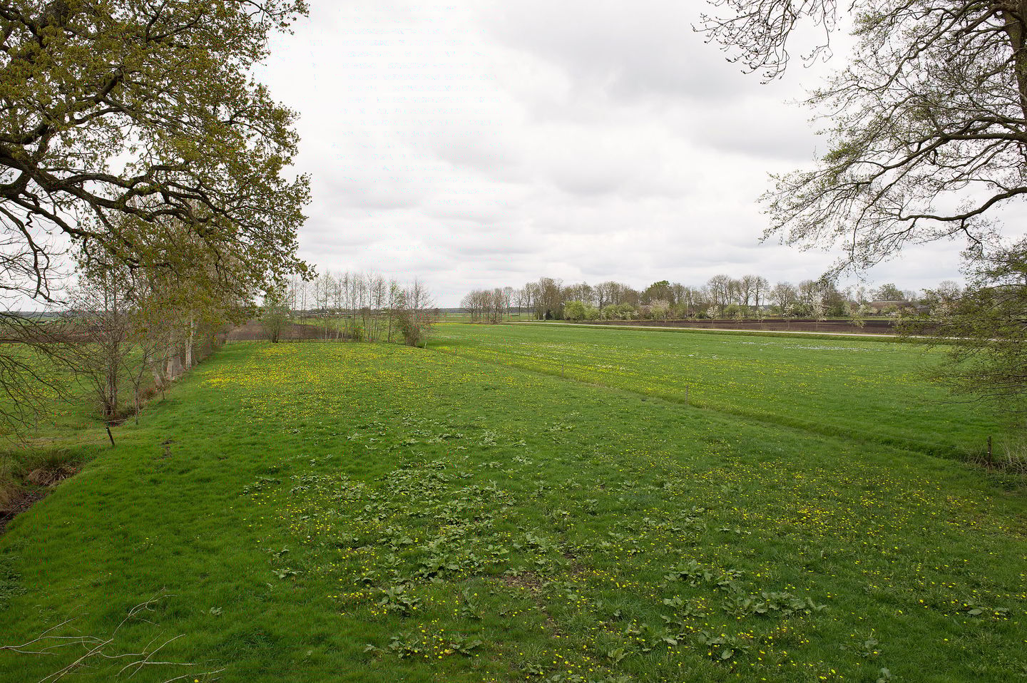 Foto 59 van Dokter Larijweg 161