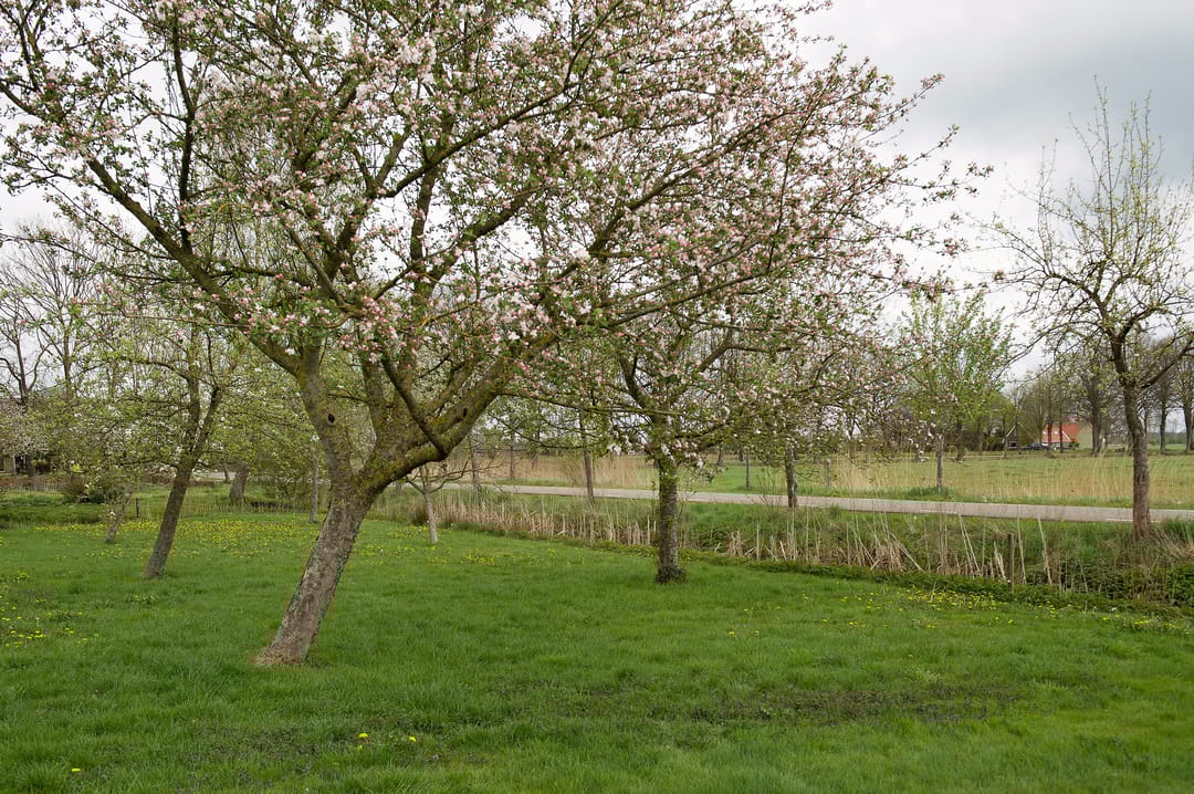 Foto 86 van Dokter Larijweg 161