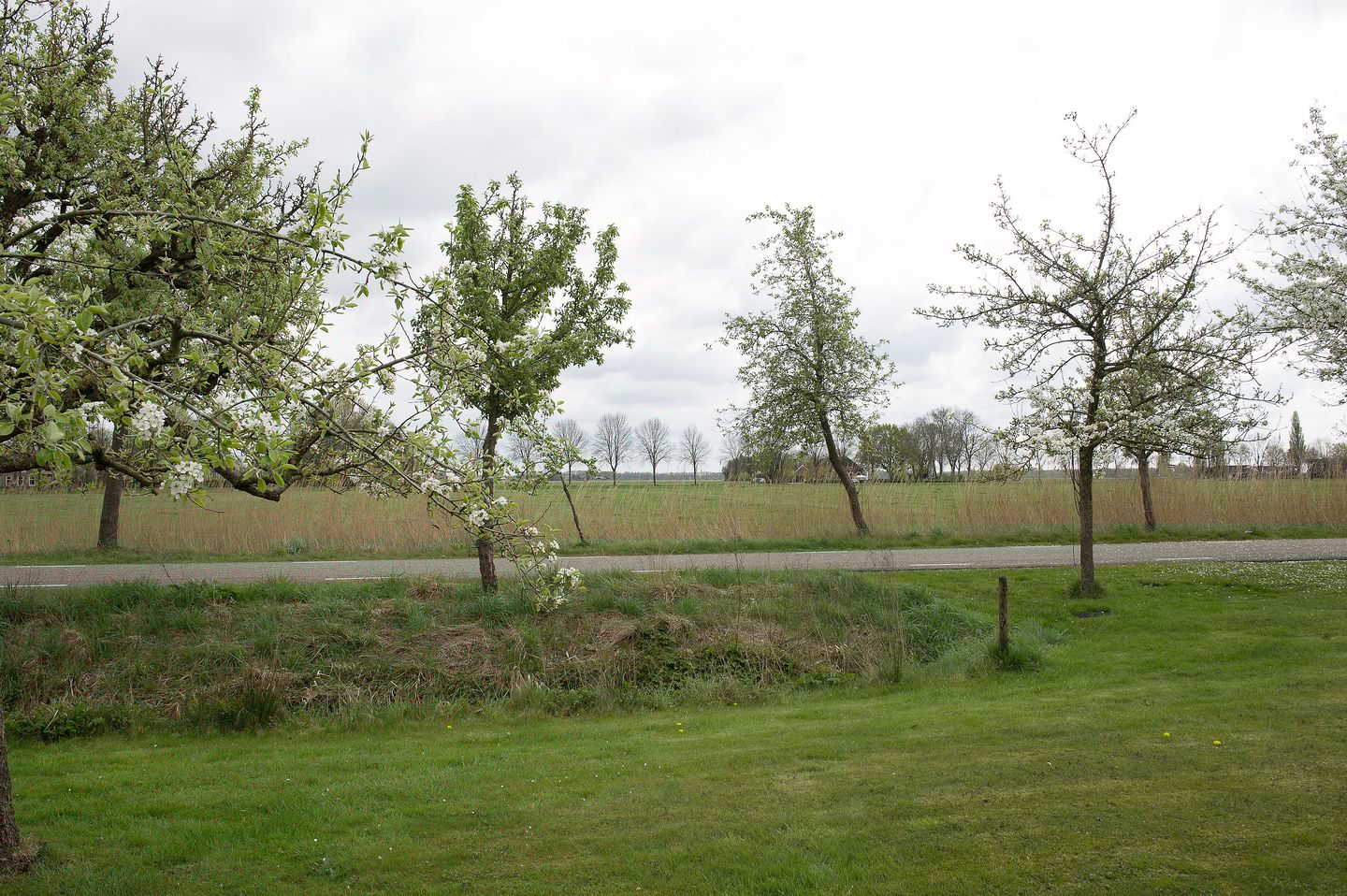 Foto 89 van Dokter Larijweg 161