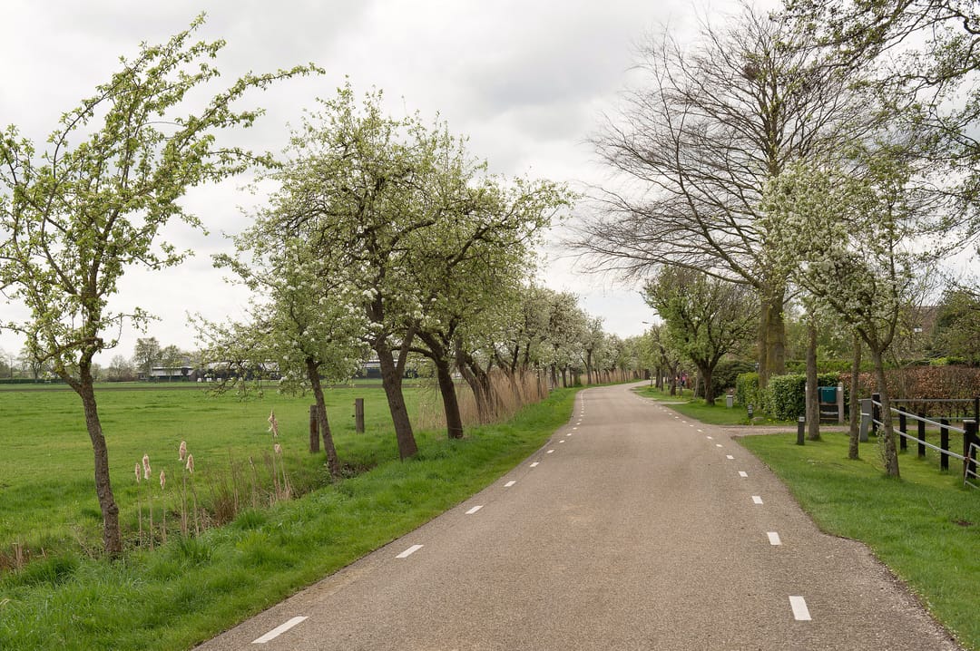 Foto 91 van Dokter Larijweg 161