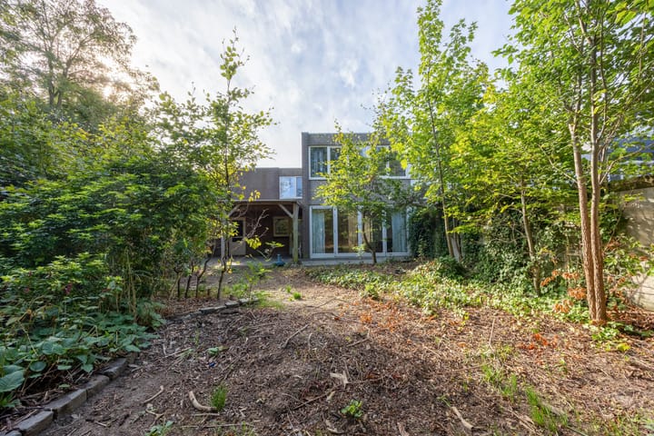 Foto 31 van Zwanenveld 2711