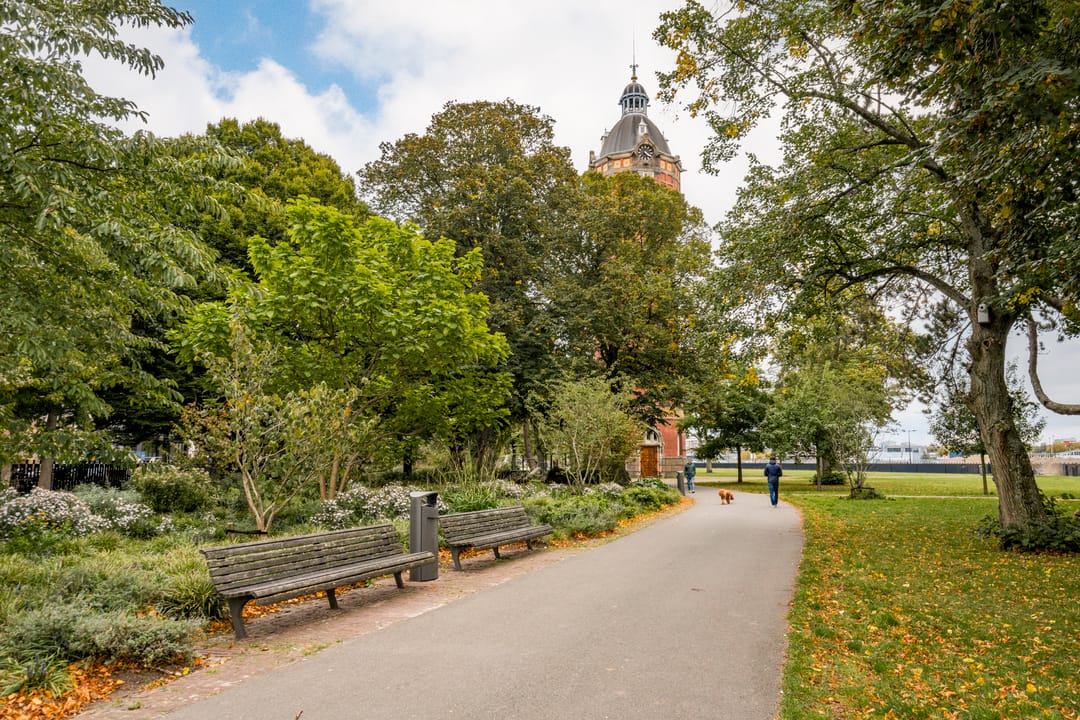 Foto 37 van Kruysweerstraat 249