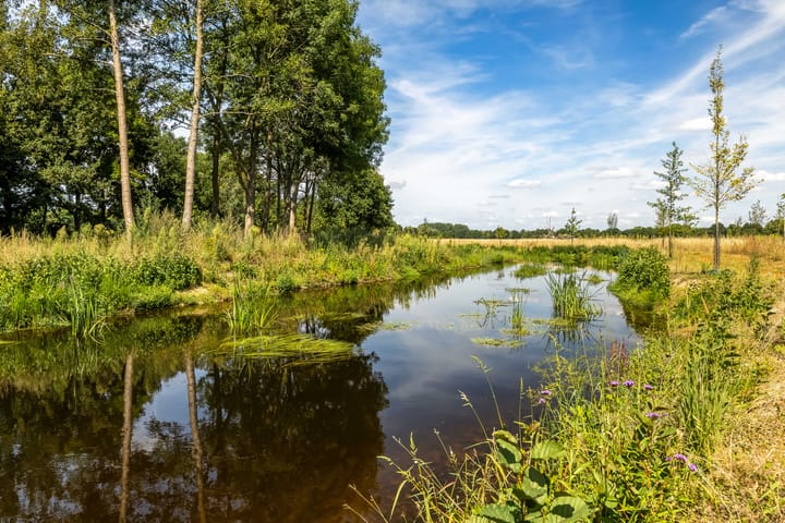 Foto 31 van Albers Pistoriusstraat 3