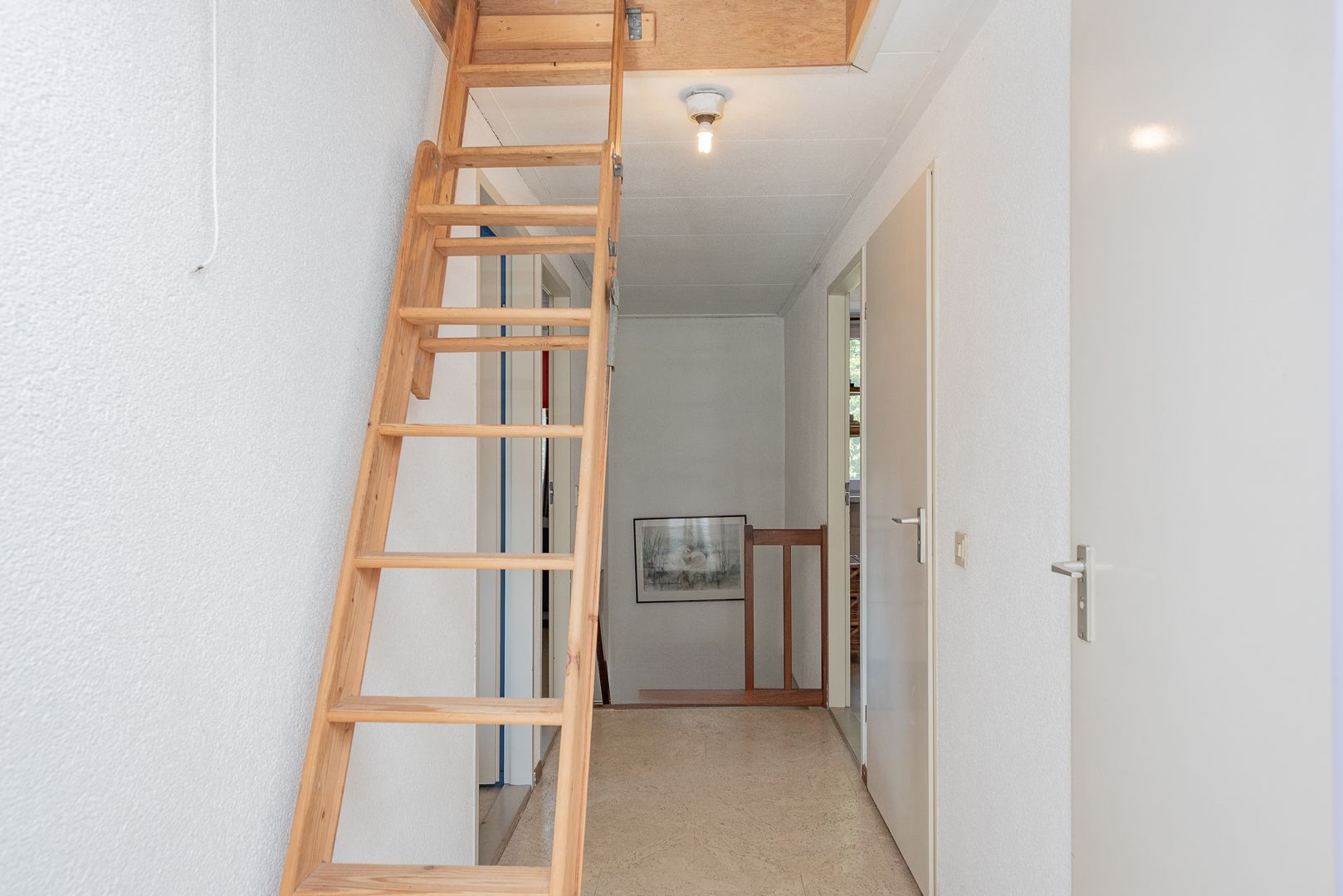 Foto 33 van Hertogstraat 13