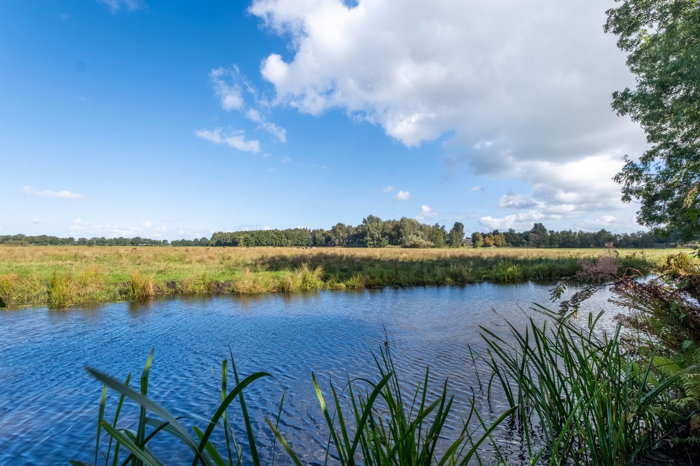 Foto 50 van Zomerweg 45