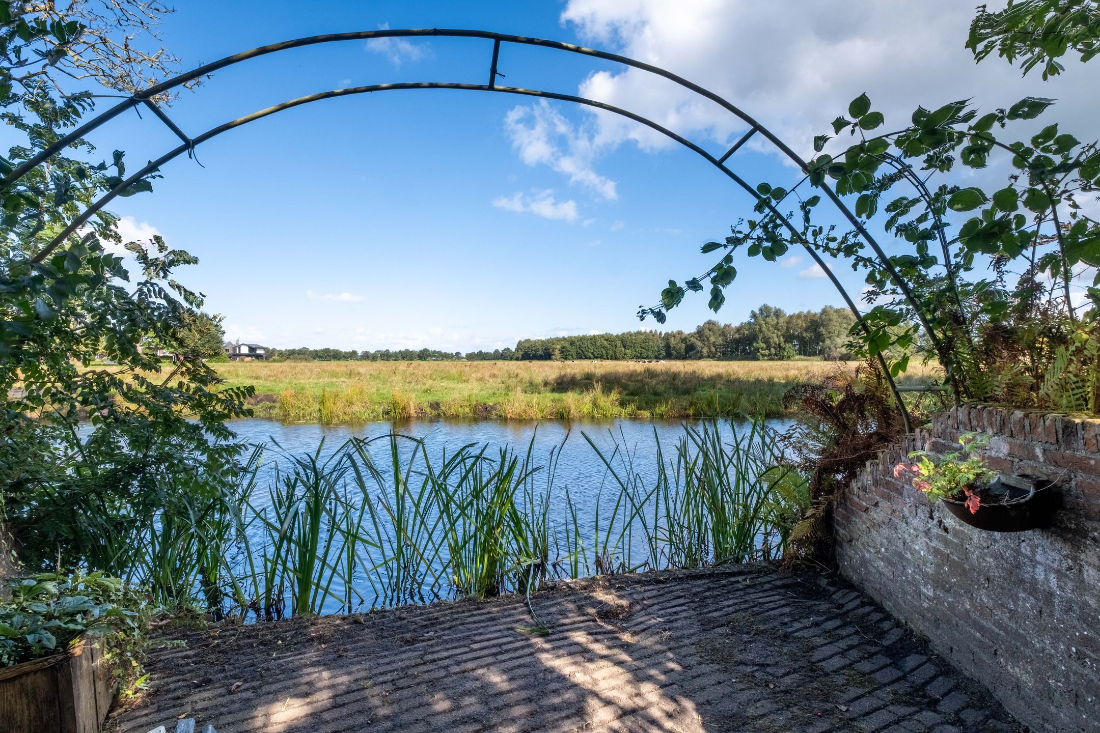 Foto 51 van Zomerweg 45