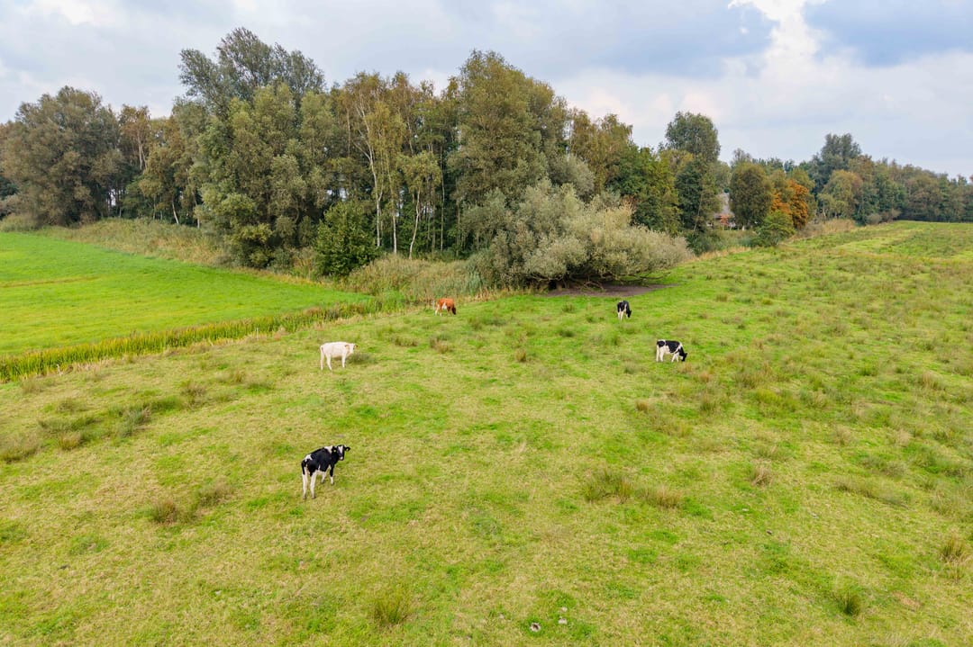 Foto 61 van Zomerweg 45