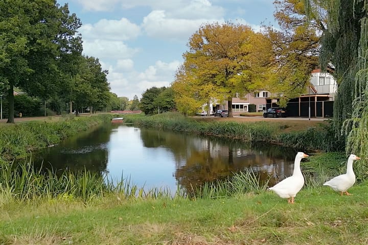 Foto 47 van Floralaan 33