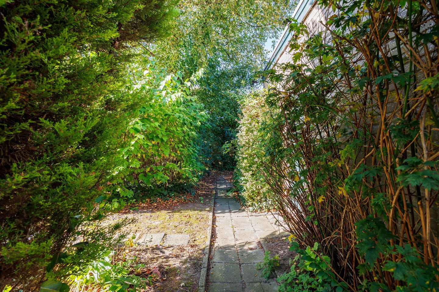 Photo 25 of Onno van Ewsumlaan 9