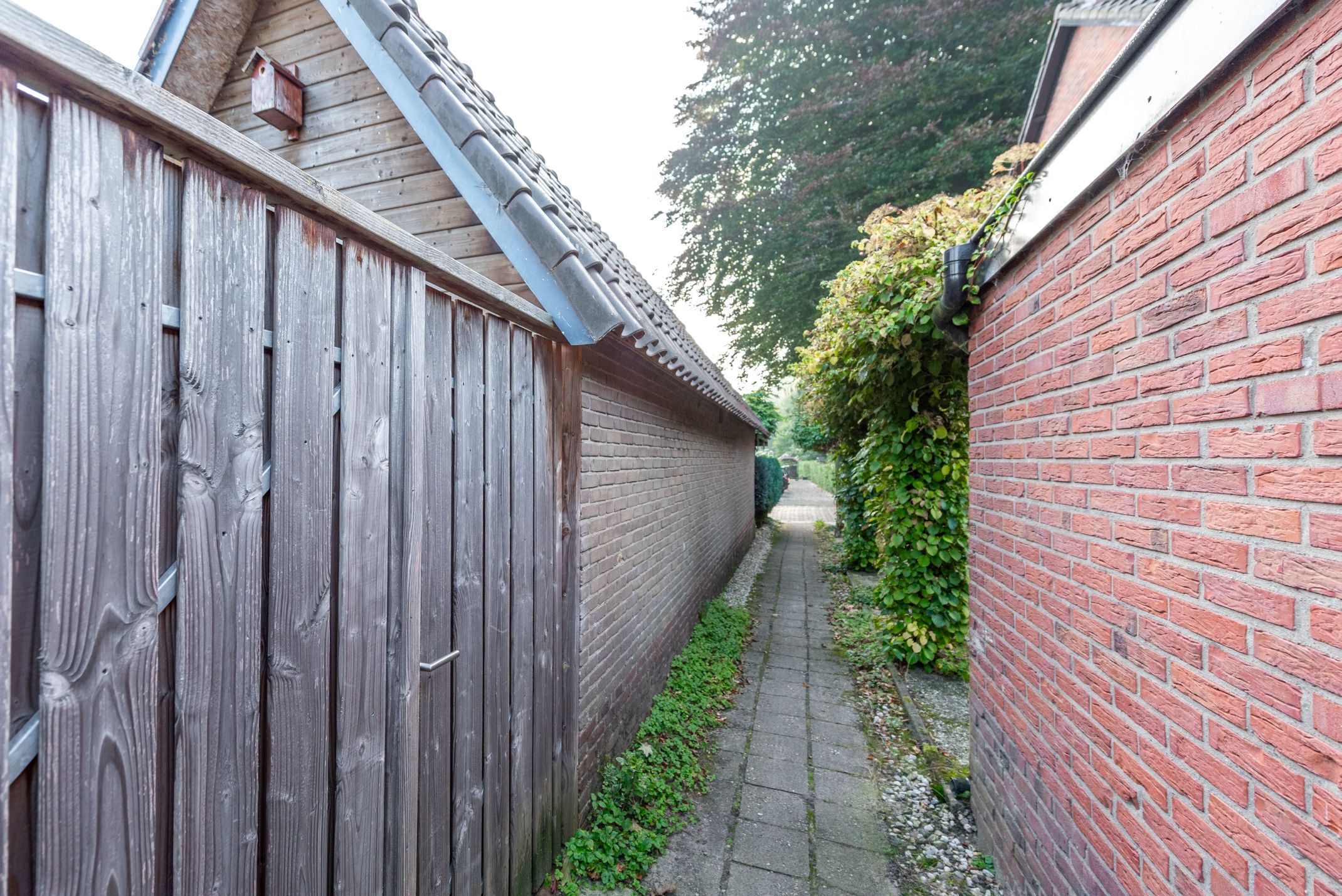 Photo 45 of Mondriaanstraat 3