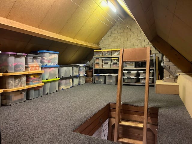 Photo 47 of Scheerdersstraat 10