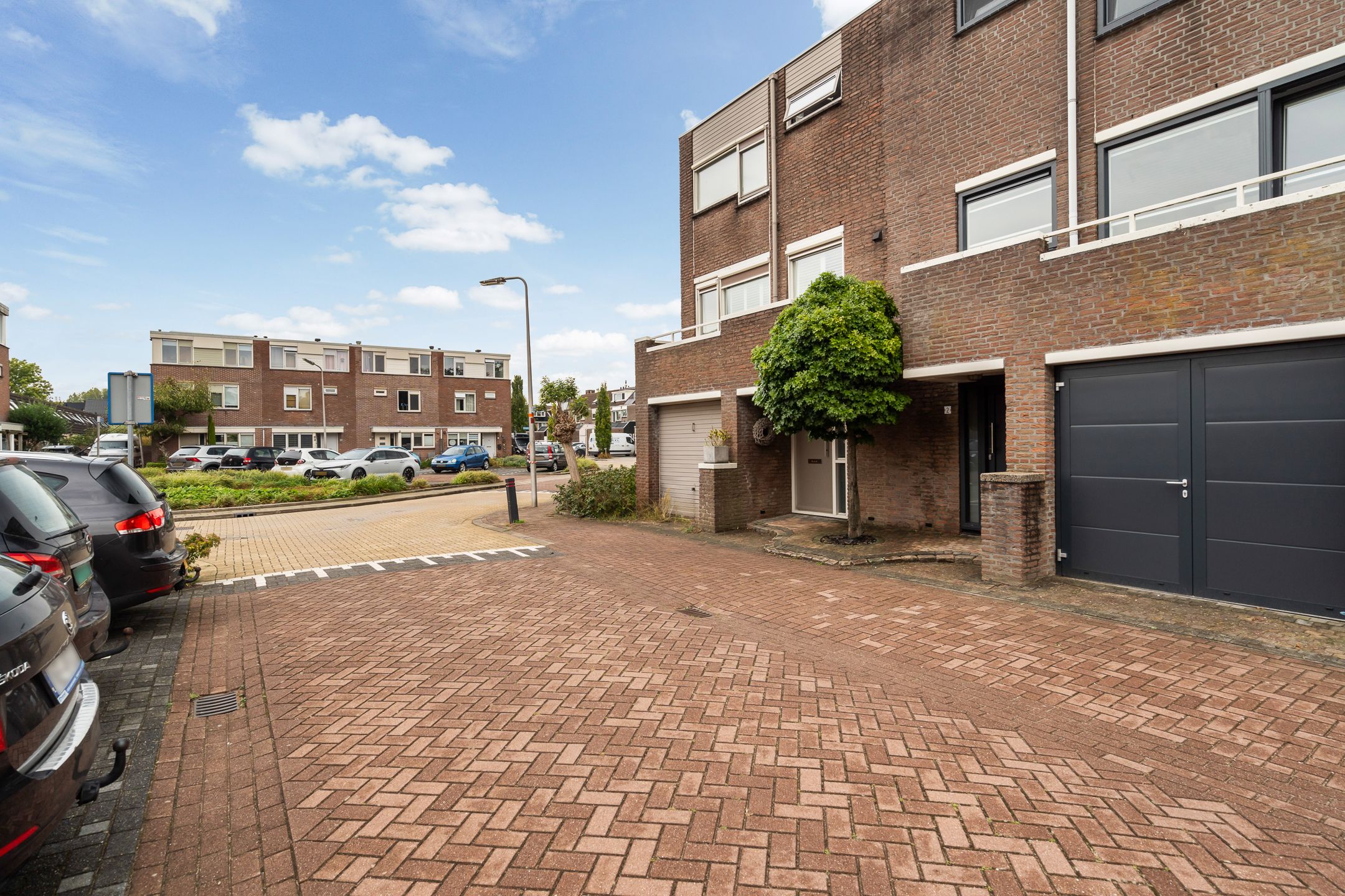 Foto 6 van Watertorkruid 1