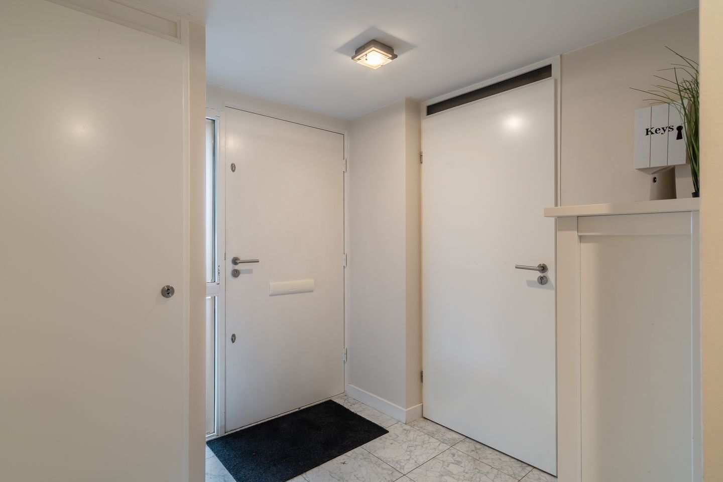 Foto 10 van Watertorkruid 1