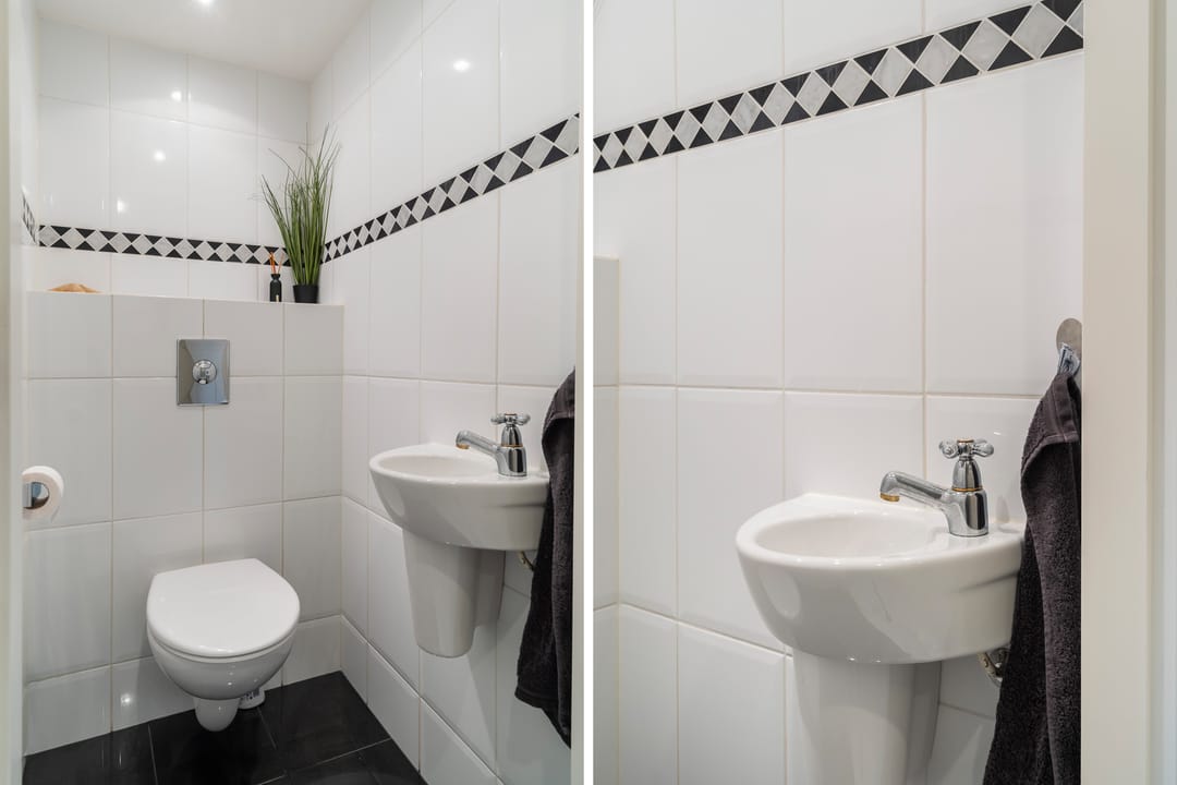 Foto 11 van Watertorkruid 1