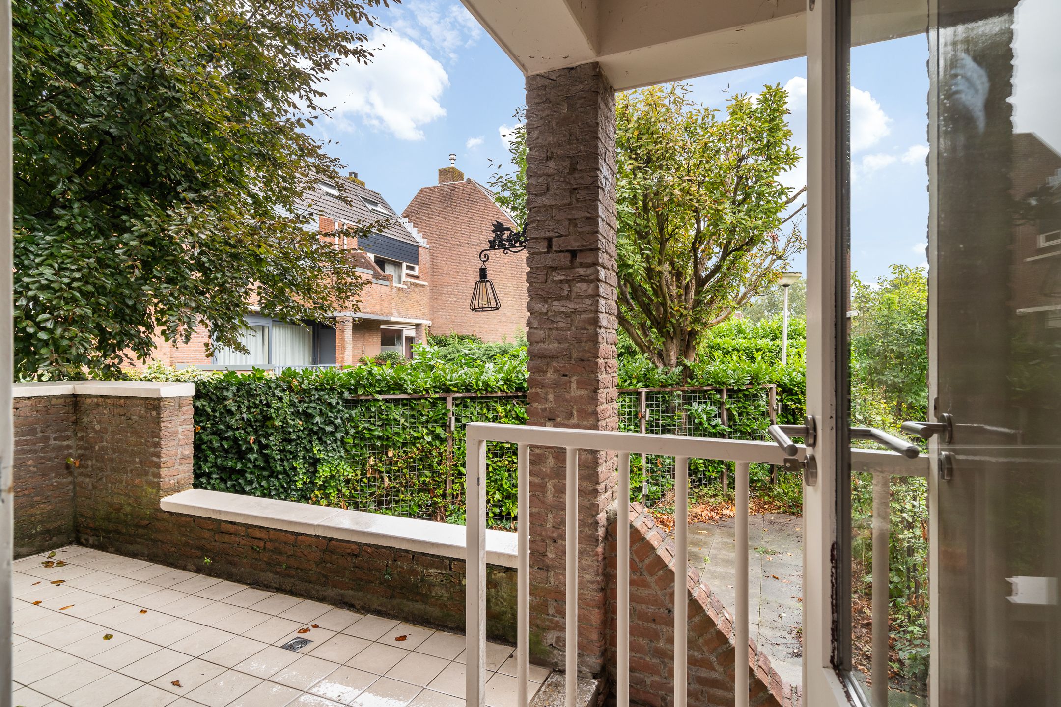 Foto 15 van Watertorkruid 1