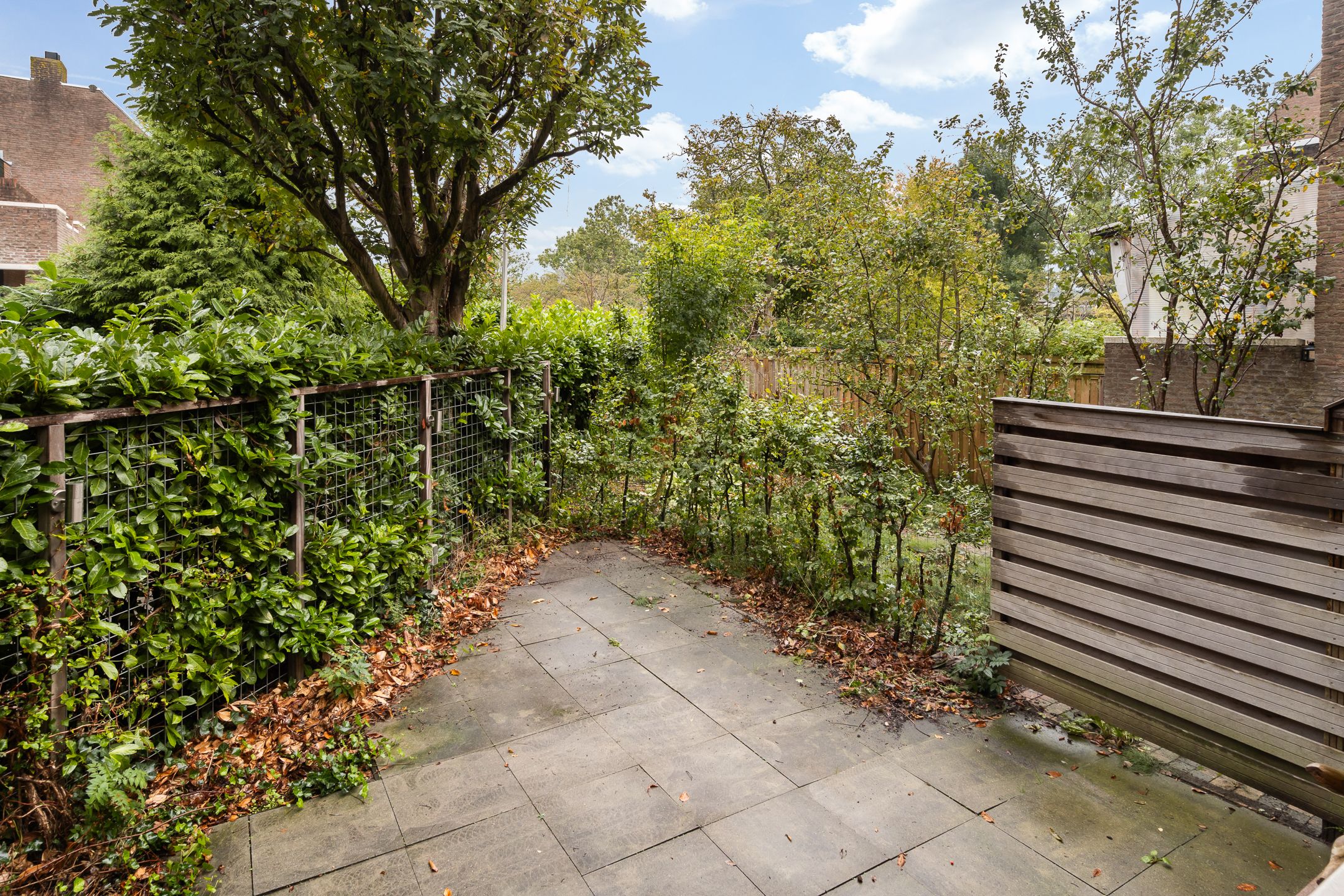 Foto 18 van Watertorkruid 1