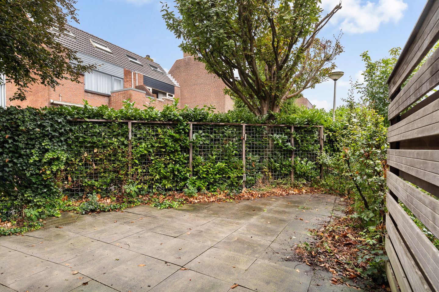 Foto 19 van Watertorkruid 1