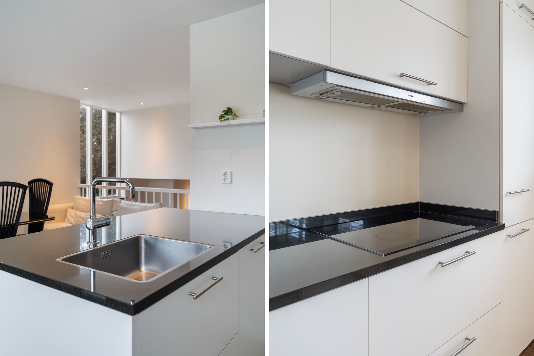 Foto 33 van Watertorkruid 1