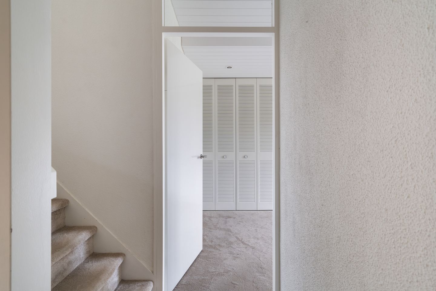 Foto 34 van Watertorkruid 1