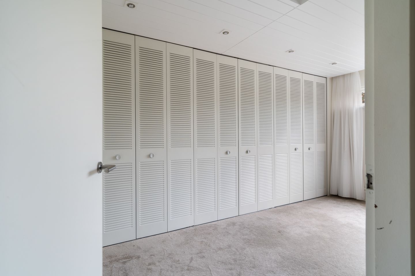 Foto 35 van Watertorkruid 1